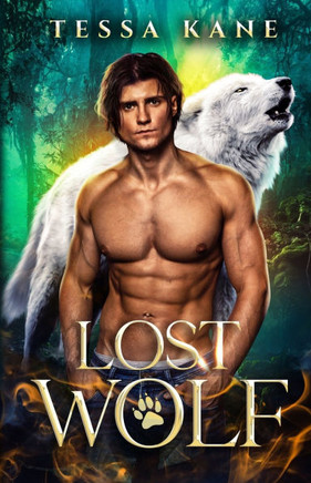 Lost Wolf: MM Shifter Romance