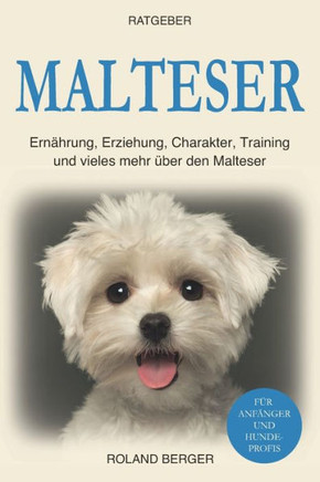 Malteser: Ernährung, Erziehung, Charakter, Training und vieles mehr über den Malteser