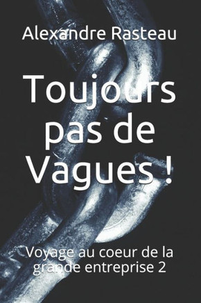 Toujours Pas De Vagues ! : Voyage Au Coeur De La Grande Entreprise 2