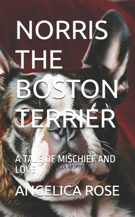 Norris the Boston Terrier: A Tale of Mischief and Love