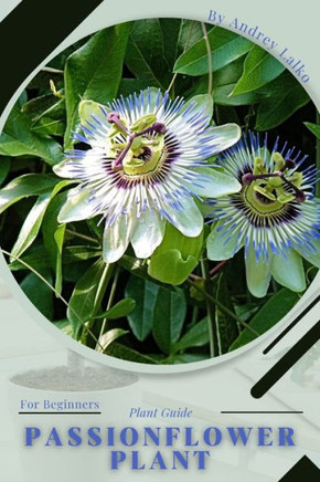 Passionflower Plant: Plant Guide