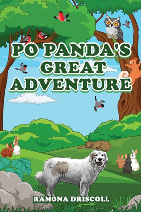 Po Panda's Great Adventure - Large Print