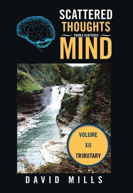 Scattered Thoughts From a Scattered Mind: Volume XII