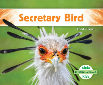 Secretary Bird Secretary Bird