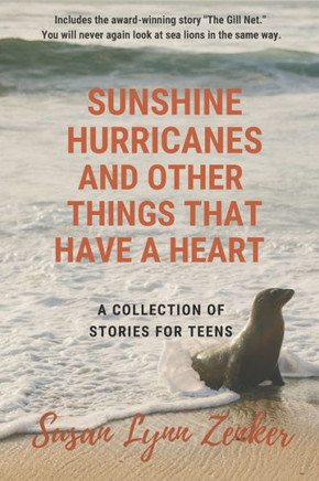 Sunshine, Hurricanes, and Other Things that Have a Heart: A Collection of Stories for Teens
