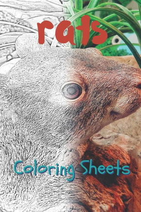Rat Coloring Sheets: 30 Rat Drawings, Coloring Sheets Adults Relaxation, Coloring Book For Kids, For Girls
