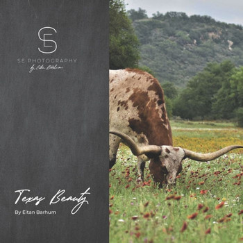 Texas Beauty: Longhorn and Texas Photography by Eitan Barhum