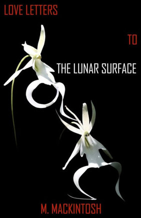 Love Letters To The Lunar Surface