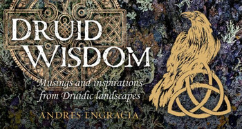 Druid Wisdom: 40 full-color inspiration cards (Mini Inspiration Cards)