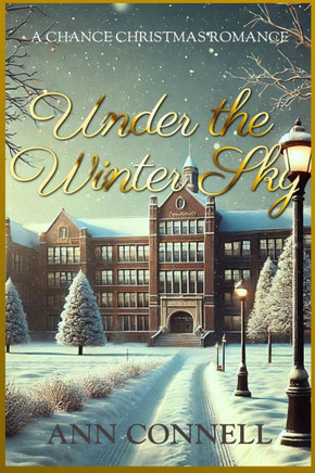 Under the Winter Sky: A Chance Christmas Romance 2024