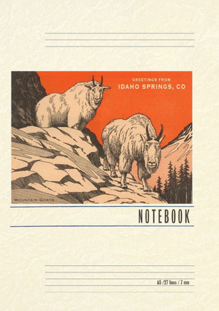 Vintage Lined Notebook Greetings from Idaho Springs