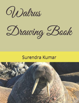Walrus Drawing Book