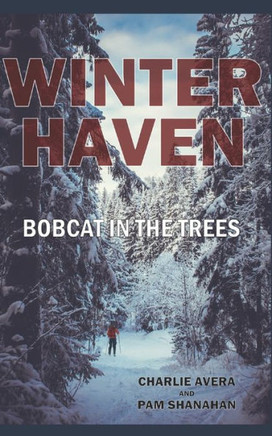 Winter Haven: Bobcat in the Trees