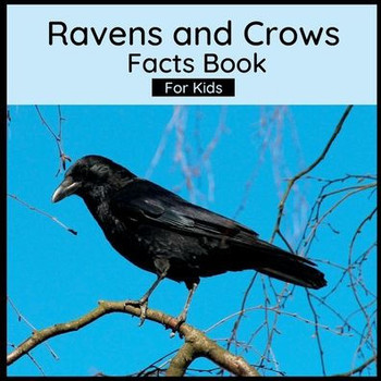Ravens And Crows Facts Book For Kids: Book About Crows And Ravens