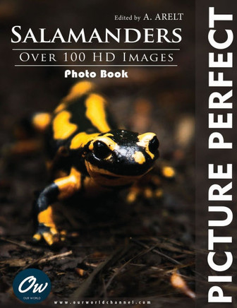 Salamander: Picture Perfect Photo Book
