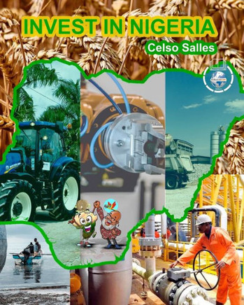 INVEST IN NIGERIA - Celso Salles: Invest in Africa Collection