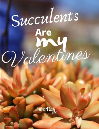 Succulents Are My Valentines - For Succulent Lovers: Valentine Day Succulents - Succulent Valentine - Valentines Day Cactus