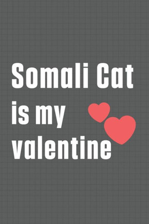 Somali Cat is my valentine: For Somali Cat Fans