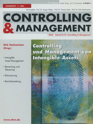 Controlling Und Management Von Intangible Assets