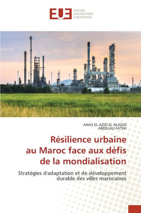Résilience urbaine au Maroc face aux défis de la mondialisation