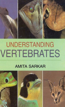 Understanding Vertebrates