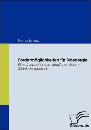 Fördermöglichkeiten für Bioenergie: Eine Untersuchung im ländlichen Raum Südniedersachsens
