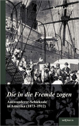 Auswanderer-Schicksale in Amerika (1873-1912): Die in die Fremde zogen