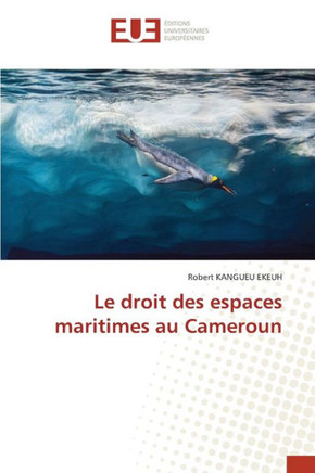 Le droit des espaces maritimes au Cameroun