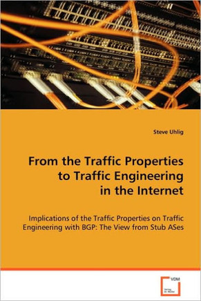 From the Traffic Properties to Traffic Engineering in the Internet