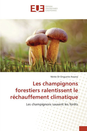Les champignons forestiers ralentissent le réchauffement climatique