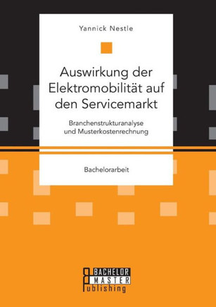 Auswirkung der Elektromobilität auf den Servicemarkt. Branchenstrukturanalyse und Musterkostenrechnung