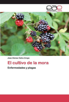 El cultivo de la mora