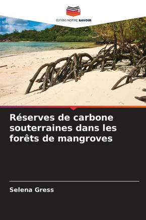 Réserves de carbone souterraines dans les forêts de mangroves