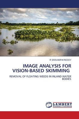 Image Analysis for Vision-Based Skimming