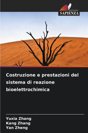 Costruzione e prestazioni del sistema di reazione bioelettrochimica