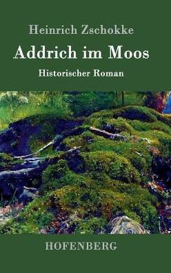 Addrich im Moos: Historischer Roman