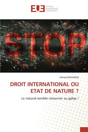 Droit International Ou Etat de Nature ?