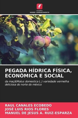 Pegada Hídrica Física, Económica E Social