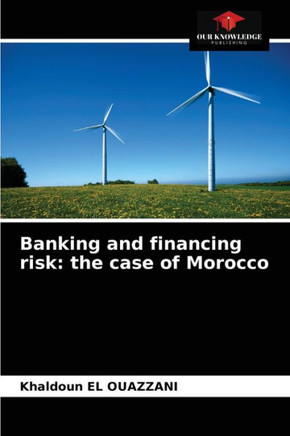 Banking and financing risk: the case of Morocco