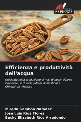Efficienza e produttività dell'acqua