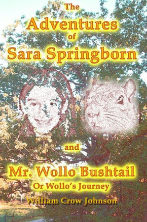 The Adventures Of Sara Springborn And Mr. Wollo Bushtail : Or Wollo'S Journey