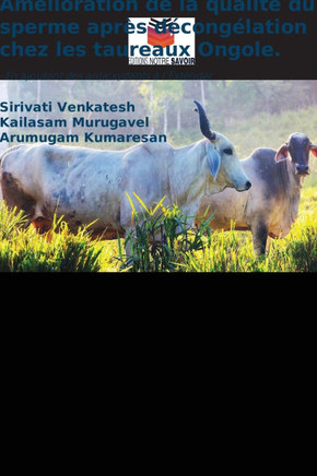 Amélioration de la qualité du sperme après décongélation chez les taureaux Ongole.
