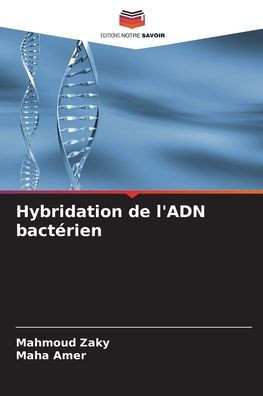 Hybridation de l'ADN bact?ien