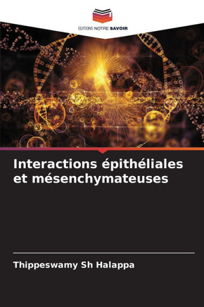 Interactions ?ith?iales et m?enchymateuses