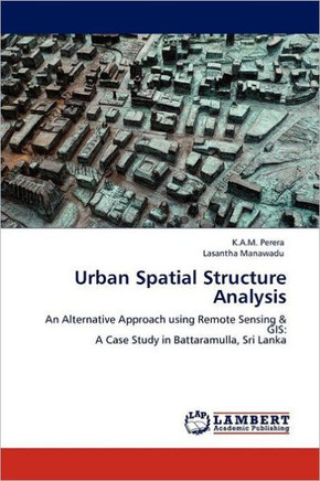 Urban Spatial Structure Analysis