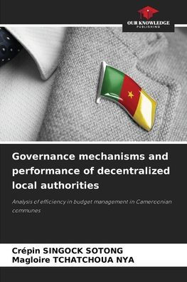 Governance mechanisms and performance of decentralized local authorities