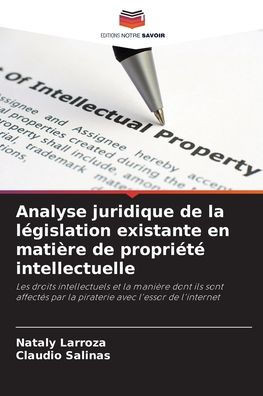 Analyse juridique de la l?islation existante en mati?e de propri??intellectuelle
