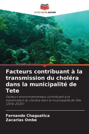 Facteurs contribuant ?la transmission du chol?a dans la municipalit?de Tete