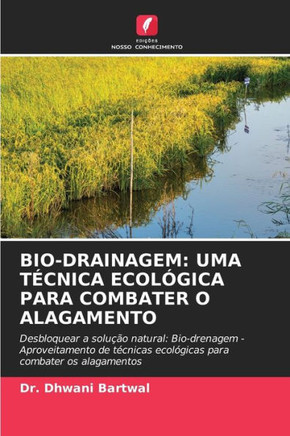 Bio-Drainagem: Uma T?nica Ecol?ica Para Combater O Alagamento