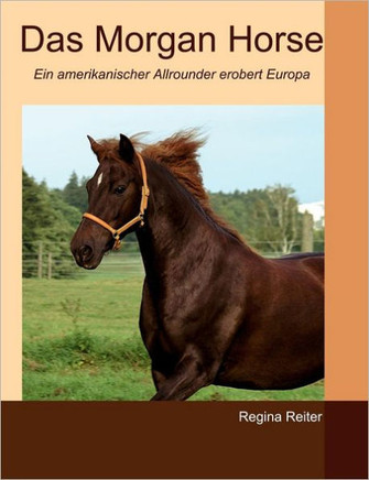 Das Morgan Horse: Ein amerikanischer Allrounder erobert Europa